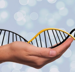 Les états généraux de la Bioéthique